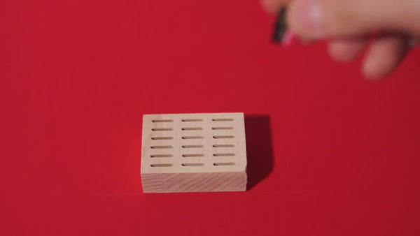 Mini micro SD card holder made of solid beech wood l 18 slots